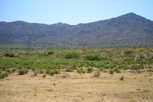 photo view