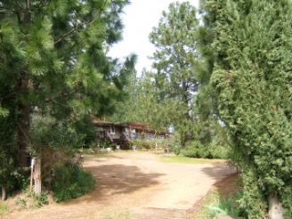 photo view